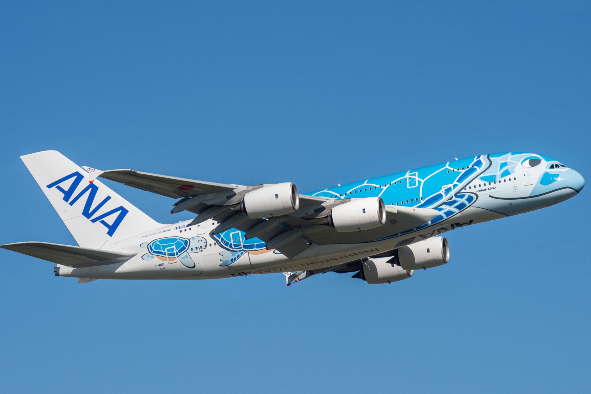 All Nippon Airways (ANA) Airbus A380. Click to enlarge.