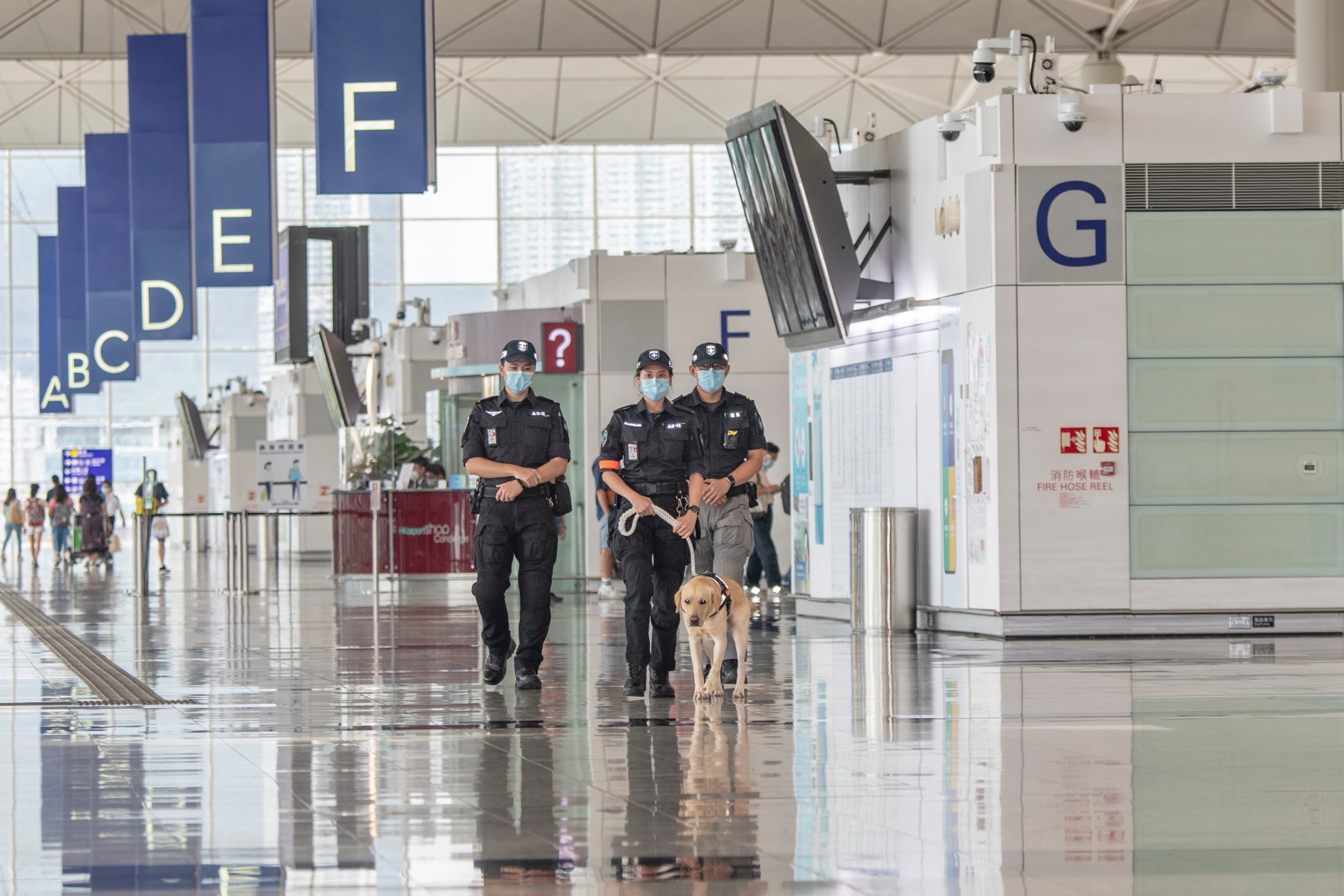 AVSECO Canine Unit (ACU) at Hong Kong International Airport (HKIA). Click to enlarge.