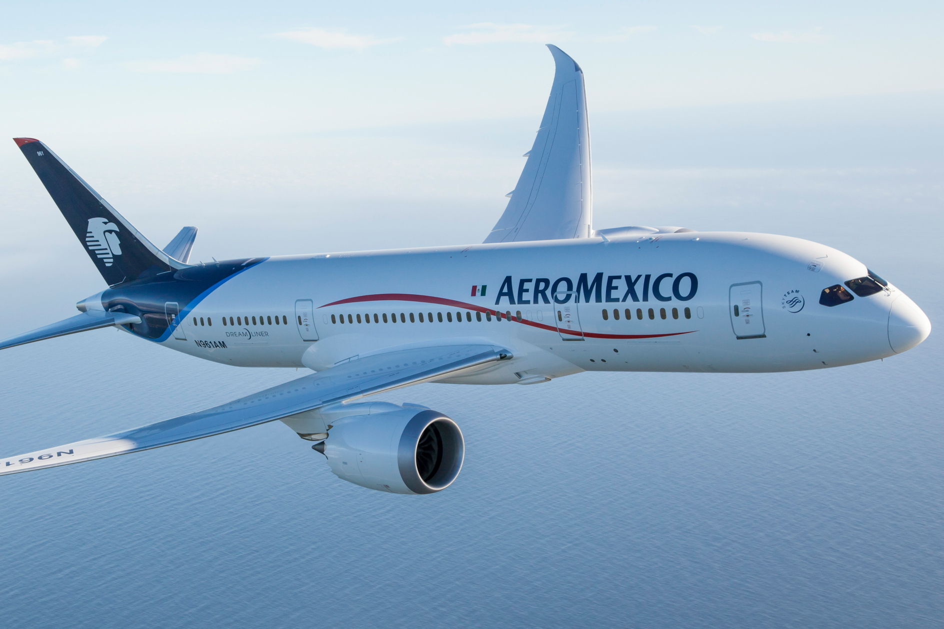 AeroMexico Boeing 787-8 reg: N961AM. Click to enlarge.