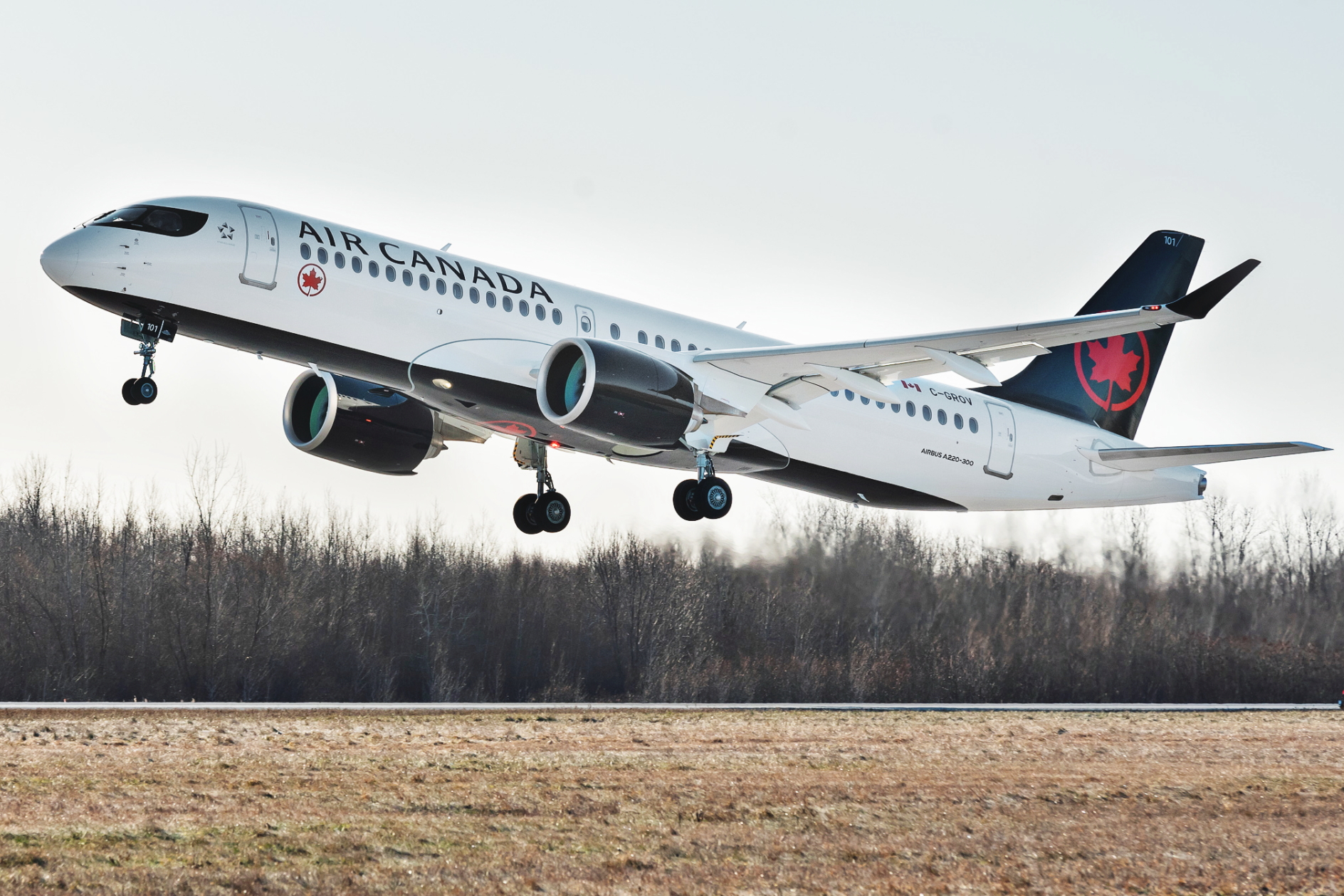 Air Canada A220-300. Click to enlarge.