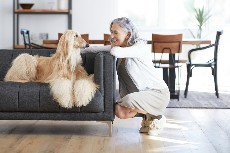 Marriott has partnered with Petco to make it easier for travellers to find the most suitable pet-friendly accommodation. Click to enlarge.