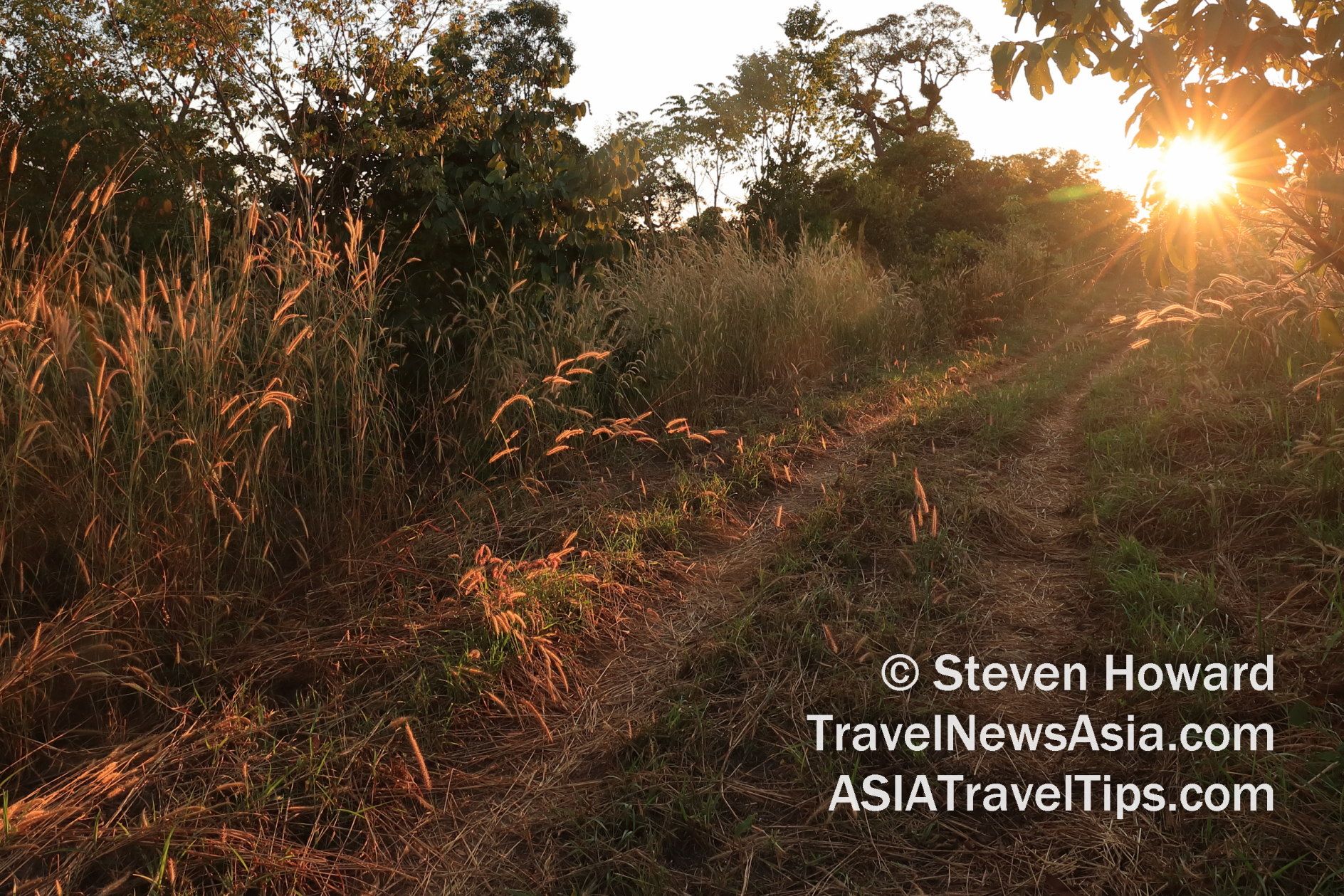 Sunrise in rural Sisaket (ศรีสะเกษ), Thailand. Picture by Steven Howard of TravelNewsAsia.com Click to enlarge.