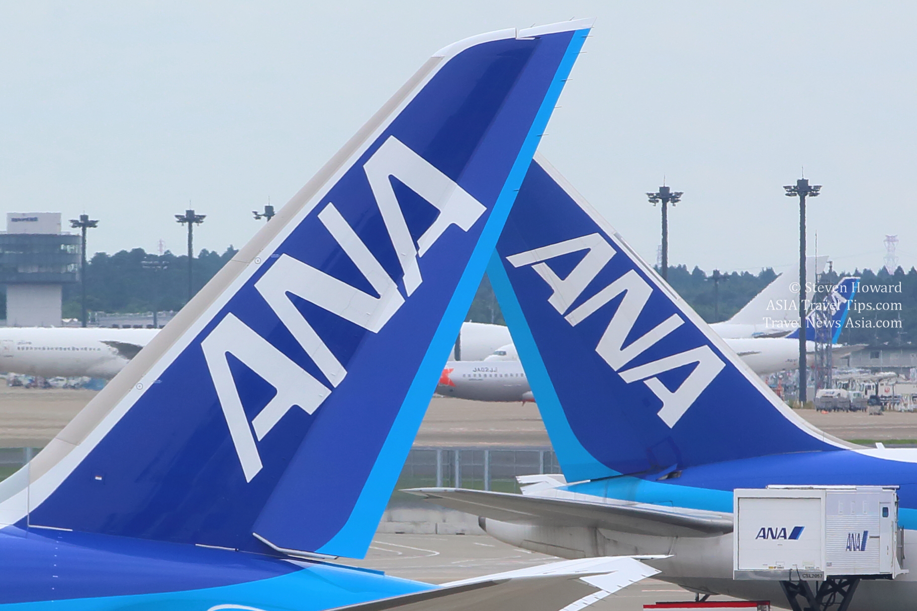 Tailfins of ANA aircraft. Picture by Steven Howard of TravelNewsAsia.com Click to enlarge.