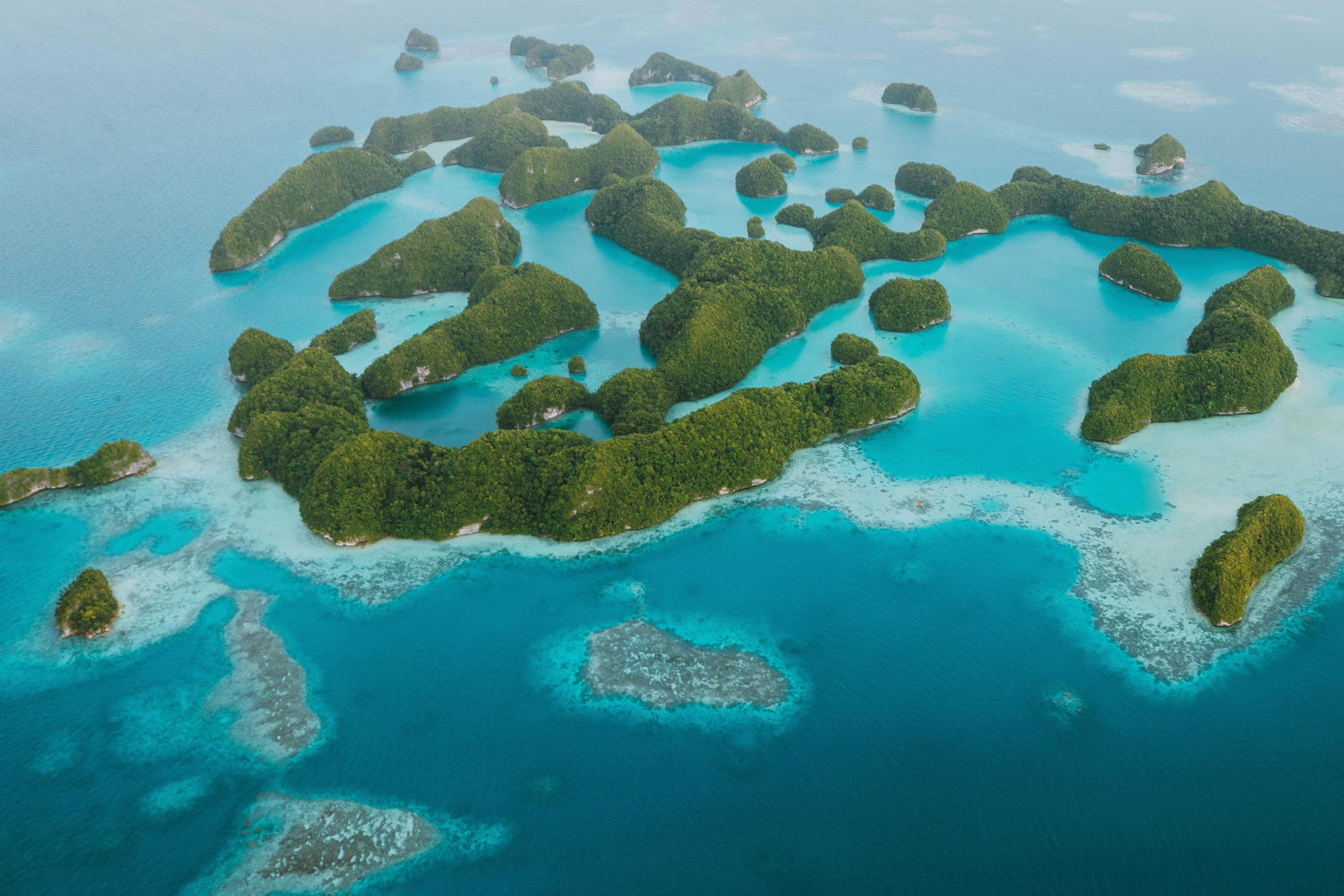Beauty of Palau Islands. Click to enlarge.