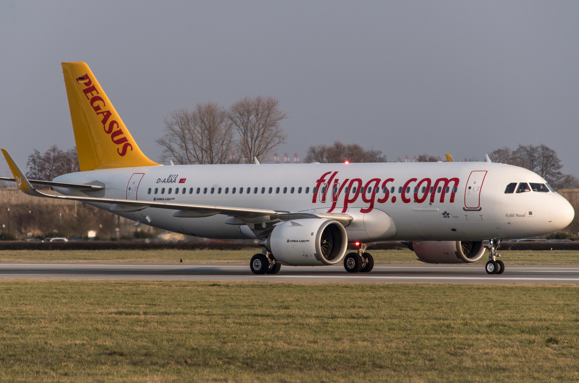 Pegasus Airlines A320neo. Click to enlarge.