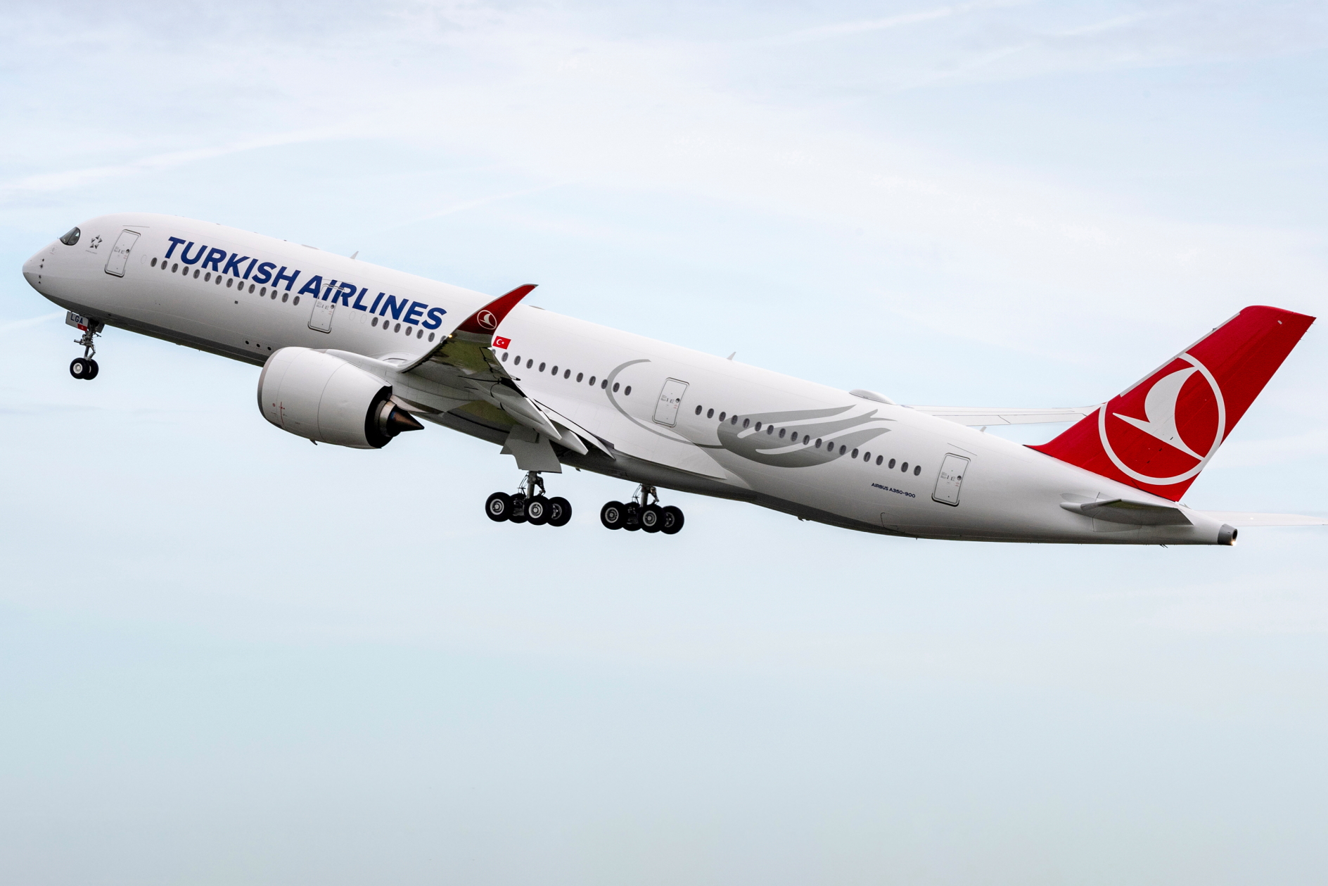 Turkish Airlines Airbus A350-900. Click to enlarge.